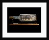 Ship model in a bottle by J. Chatterton