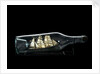 Ship model in a bottle by unknown