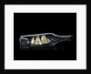 Ship model in a bottle by unknown