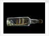 Ship model in a bottle by Robert Orr