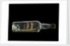 Ship model in a bottle by Robert Orr