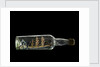 Ship model in a bottle by Robert Orr