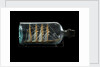 Ship model in a bottle by Robert Orr