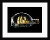 Ship model in a bottle by Dr Mark Lester