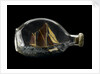 Ship model in a bottle by Dr Mark Lester