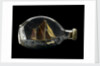 Ship model in a bottle by Dr Mark Lester