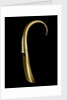 Shoe horn by William George Solkhon
