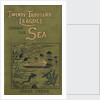 Cover of Jules Verne's 'Twenty Thousand Leagues Under The Sea' by Alphonse-Marie-Adolphe de Neuville