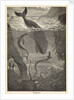 Frontispiece of Jules Verne's 'Twenty Thousand Leagues Under The Sea' by Alphonse-Marie-Adolphe de Neuville