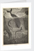 Frontispiece of Jules Verne's 'Twenty Thousand Leagues Under The Sea' by Alphonse-Marie-Adolphe de Neuville