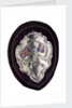 Arm badge (brassard) won at the Eastern Thames Regatta 1902, attached to sleeve of prize coat by D.G.C.