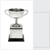 Worcester' v 'Conway' boat race trophy by W. Neale & Sons Ltd.