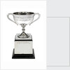 Worcester' v 'Conway' boat race trophy by W. Neale & Sons Ltd.