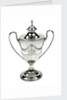 Bogus cup and cover said to have been owned by Lord Nelson by Ann Bateman