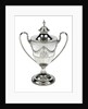 Bogus cup and cover said to have been owned by Lord Nelson by Ann Bateman