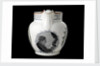 Jug with moulded lip and loop handle by Collingwood Bros. Ltd.