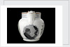Jug with moulded lip and loop handle by Collingwood Bros. Ltd.
