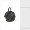 SS 'Great Britain' medal by unknown