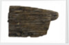 Wood by unknown