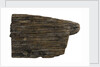 Wood by unknown