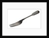 Fork by William Marshall