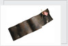 Copper strip by unknown