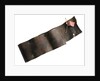 Copper strip by unknown