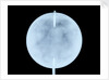 Globe x-ray by John Cary