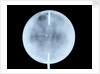 Globe x-ray by John Cary