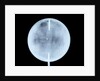 Globe x-ray by John Cary
