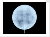 Globe x-ray by John Miller