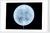 Globe x-ray by John Miller