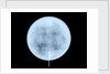 Globe x-ray by John Miller