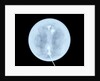 Globe x-ray by West