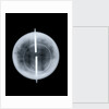 Globe x-ray by West