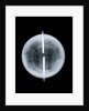 Globe x-ray by West