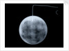Globe x-ray by George Adams