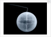 Globe x-ray by William Palmer