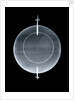Globe x-ray by Jean Fortin