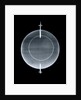 Globe x-ray by Jean Fortin
