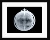 Globe x-ray by John Senex