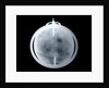 Globe x-ray by John Senex