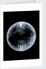 Globe x-ray by Richard Cushee