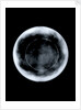 Globe x-ray by George Adams