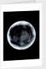 Globe x-ray by George Adams
