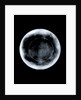 Globe x-ray by George Adams