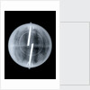 Globe x-ray by Newton & Co.