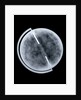 Globe x-ray by Newton Son & Berry
