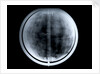 Globe x-ray by Johann Gabriel Doppelmayr