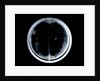 Globe x-ray by Johann Gabriel Doppelmayr